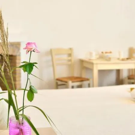 Mykonos Pantheon Appart hôtel Kalo Livadi